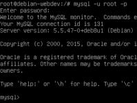 Основы администрирования MySQL при помощи командной строки